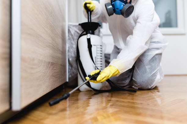Best Pest Prevention Services  in Southern View, IL