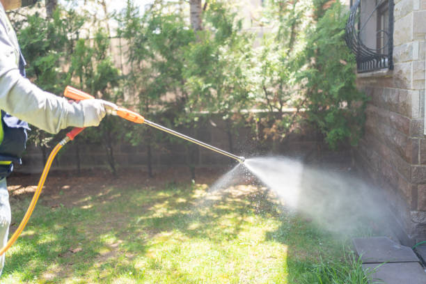 Best Affordable Pest Control Services  in Southern View, IL