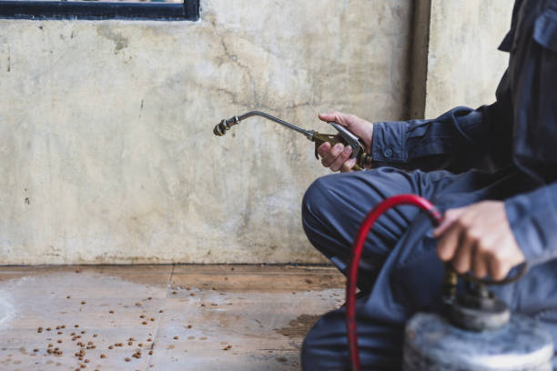 Best Pest Prevention Services  in Southern View, IL
